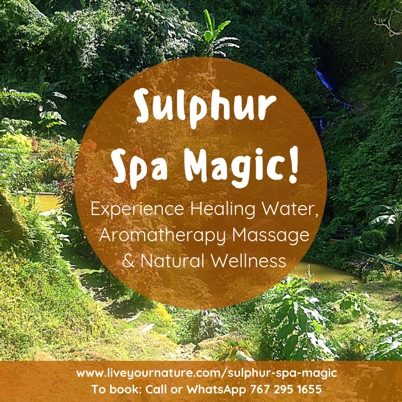 Sulphur Spa Magic - Hot Water and Aromatherapy Massage